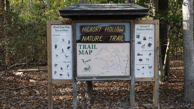 Hickory Hollow Natural Area Preserve - Image 2