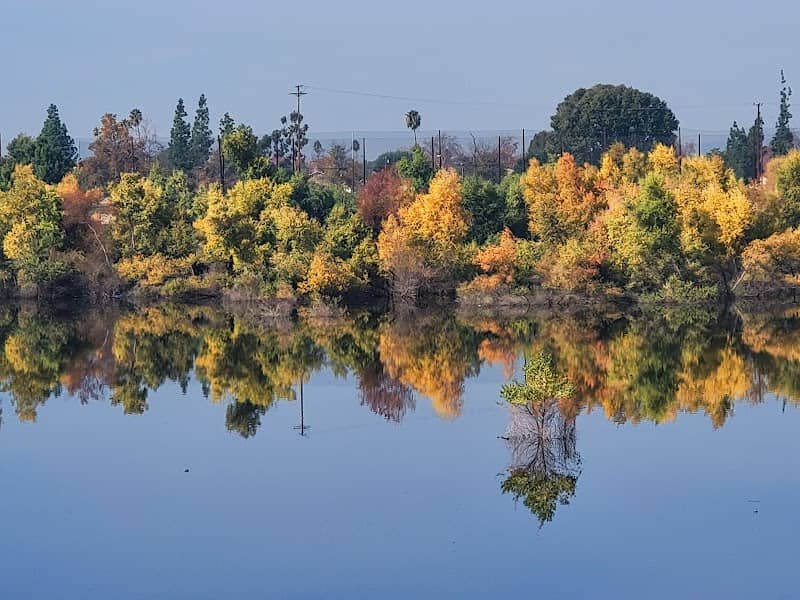 Peck Road Water Conservation Park - Image 2