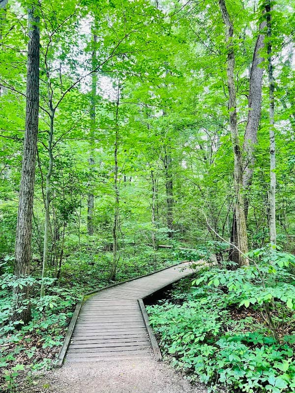 Blacklick Woods Metro Park - Image 3