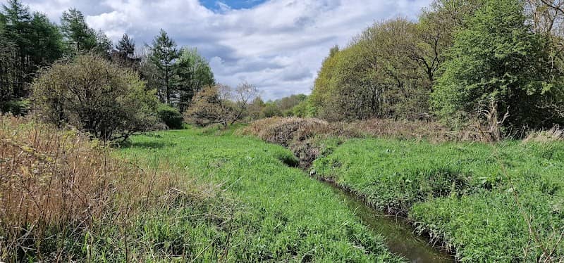 Tanfield Marsh wildlife reserve, tanfield lea side - Image 2