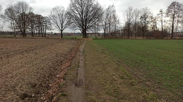 Ścieżka pieszo rowerowa - Image 1