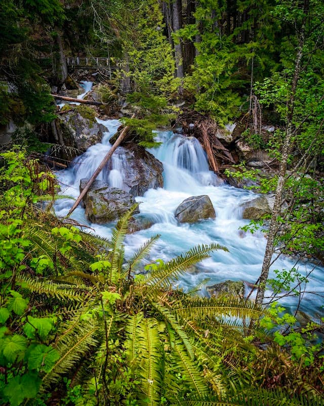 North Cascades Institute - Image 3