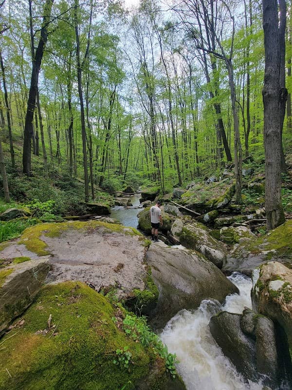 Stewarton Falls - Image 2