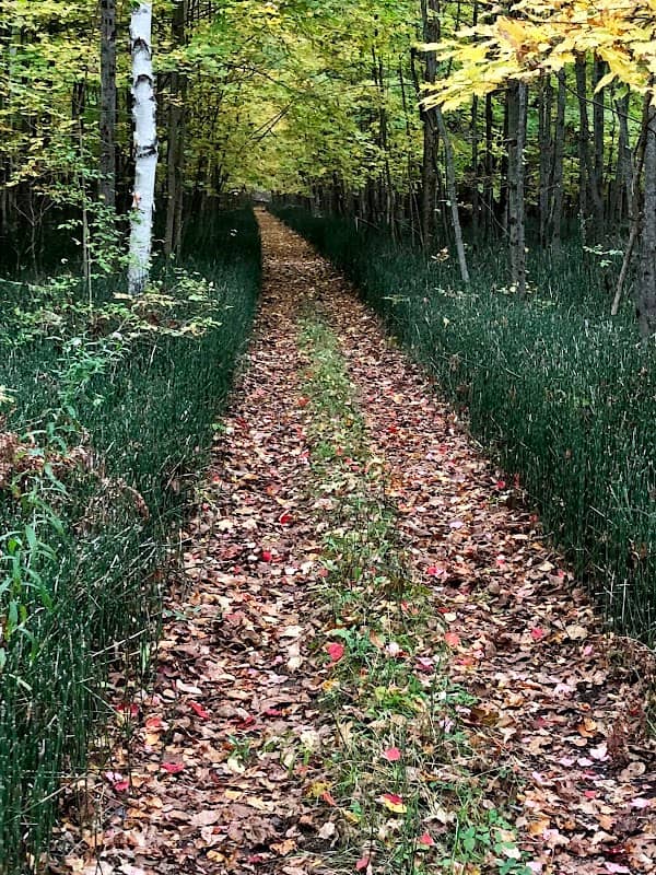 Indian Point Provincial Park - Image 1