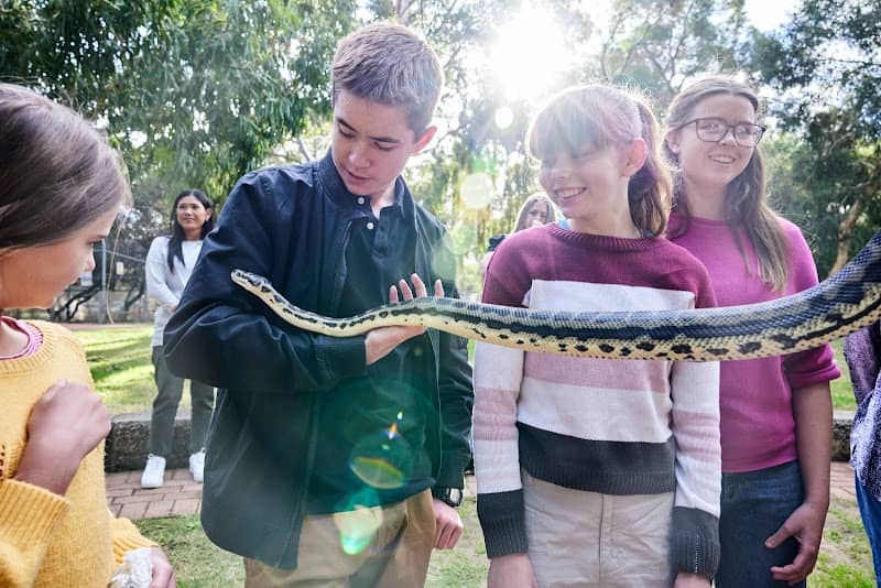 Bunbury Wildlife Park - Image 2