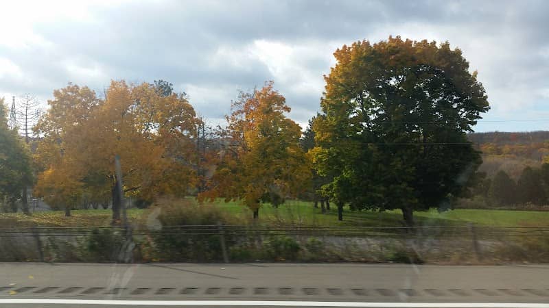 Frontage Park - Image 2