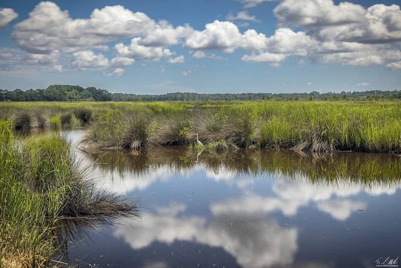 Donnelley Wildlife Management Area - Image 1