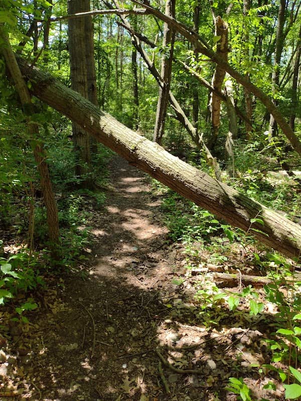Dauner Martin Nature Preserve West Entrance - Image 2