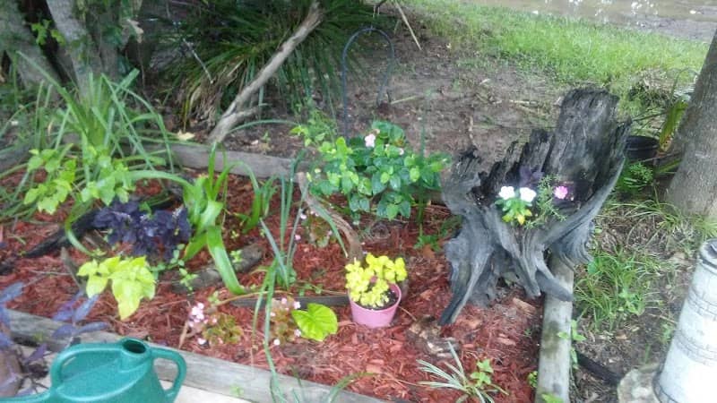 Kathy's Flowerbed Angels - Image 1
