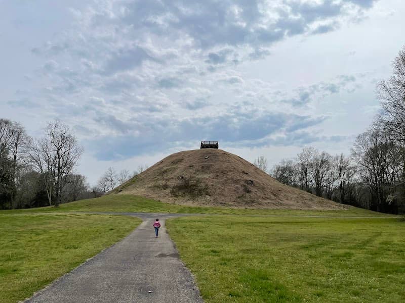 Saul's Mound - Image 1
