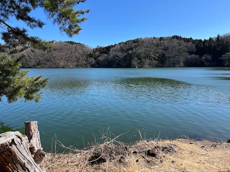 加瀬沼湖畔 - Image 1