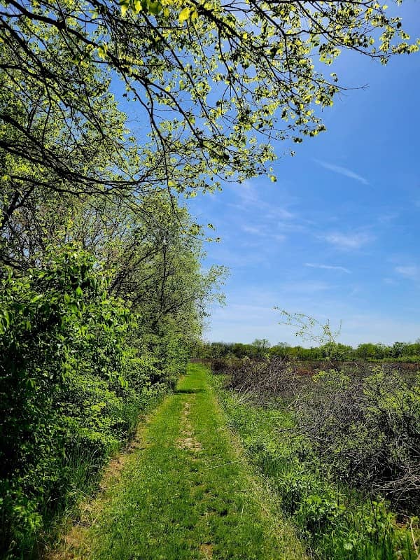Millbrook South Forest Preserve Trail - Image 1