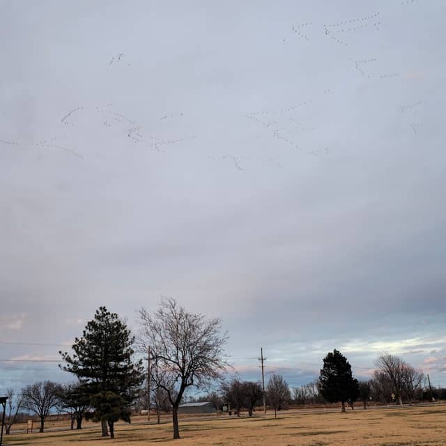 Mahuron Park - Image 2