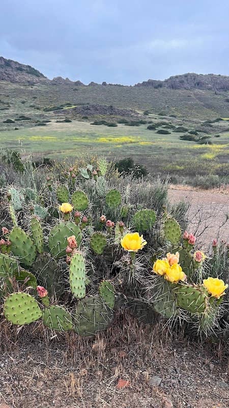 Mesa Trailhead - Image 2