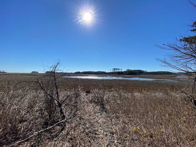 William B. Cummings Birding And Wildlife Trail - Image 1
