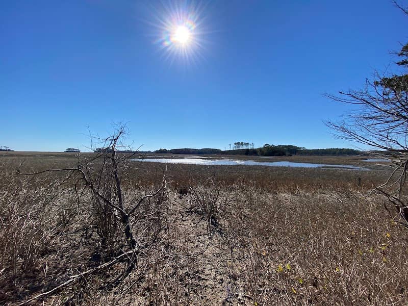 William B. Cummings Birding And Wildlife Trail - Image 1