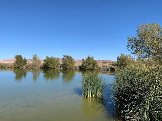 Henderson Bird Viewing Preserve - Image 2