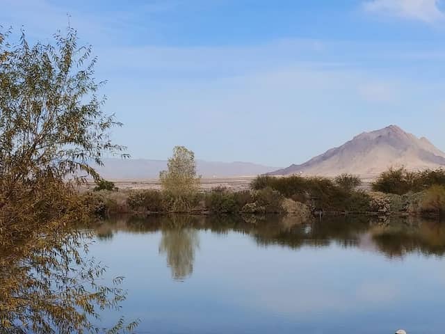 Henderson Bird Viewing Preserve - Image 1