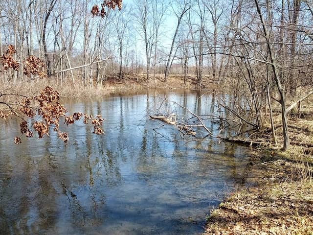 Leonard Preserve - Image 2