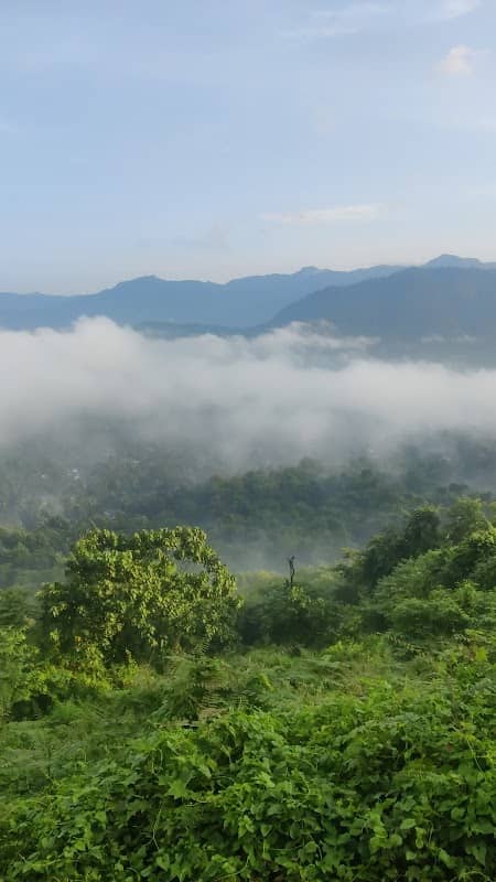 Vazhikkadavu View Point - Image 1