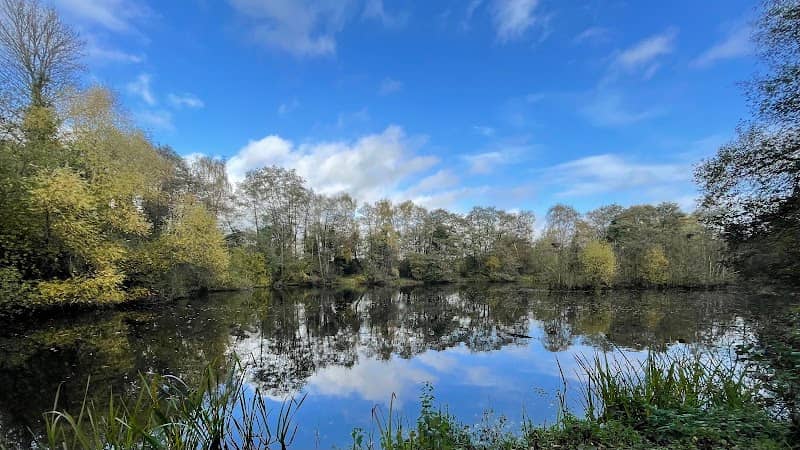 Sevenoaks Wildlife Reserve - Kent Wildlife Trust - Image 1
