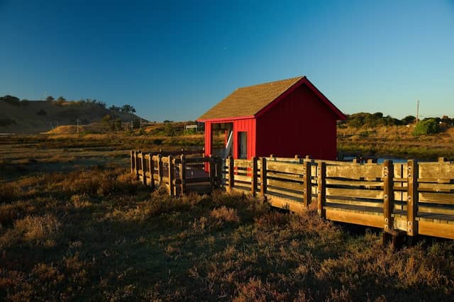 Don Edwards San Francisco Bay National Wildlife Refuge - Image 2