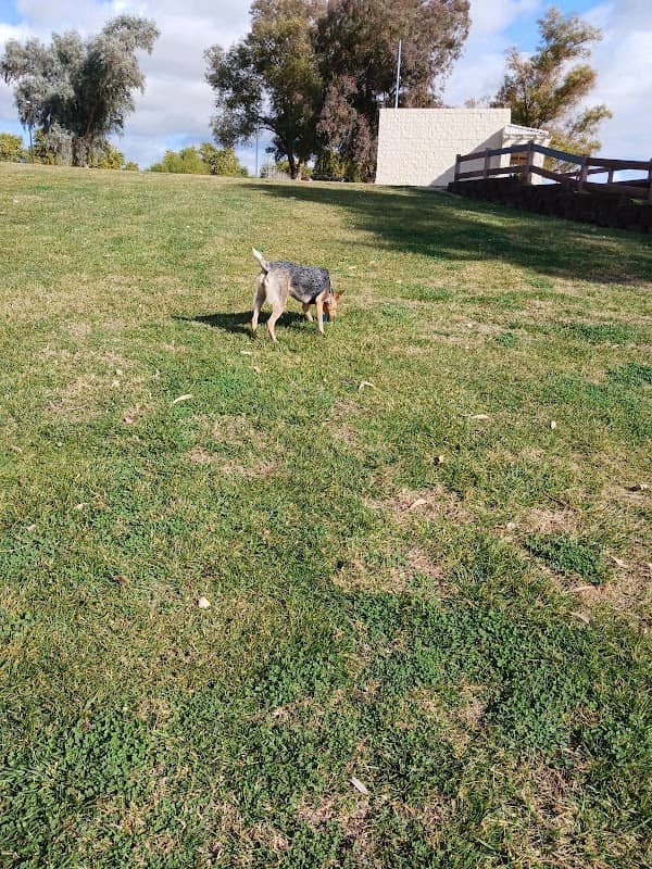 Bullhead City Dog Park - Image 1