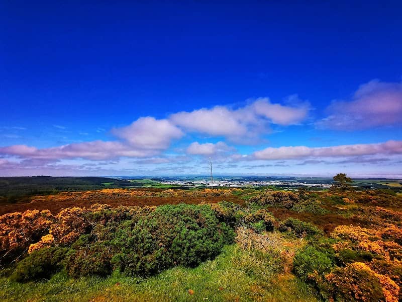 Brimmond Country Park - Image 1