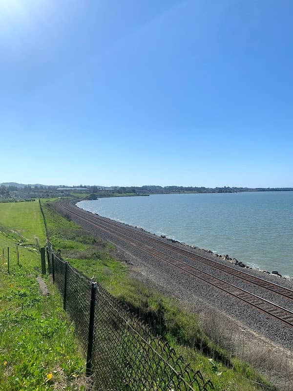 Shoreline Park Area Picnic - Image 1