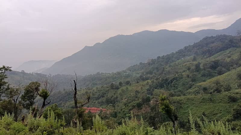 Mele Anavai - Image 1