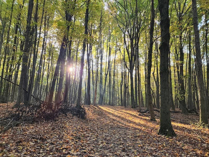Schleman Nature Preserve - Image 2