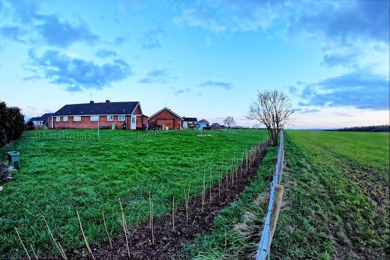 Community orchard - Image 1