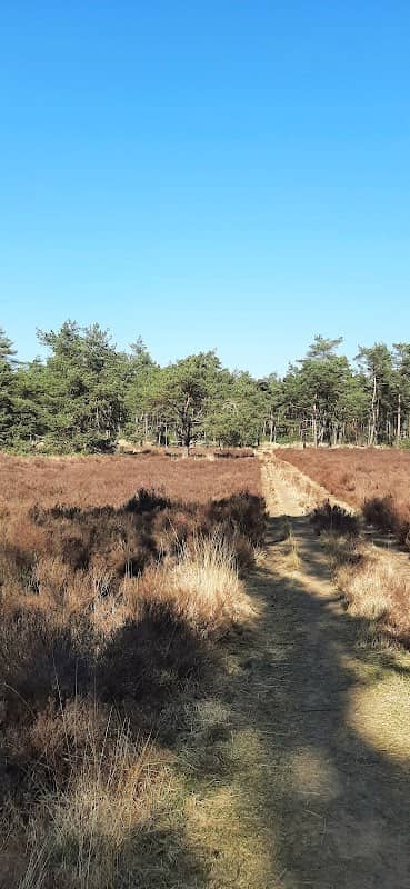 Boswachterij Leersum - Image 1