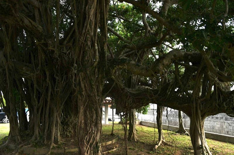 Igeinogajimaru Gajimaru Park - Image 2