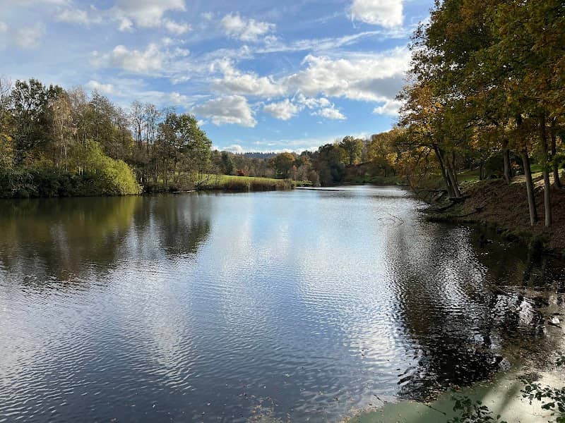 National Trust - Winkworth Arboretum - Image 1