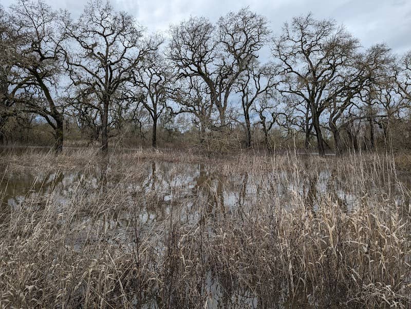 Laguna Wetlands Preserve - Image 1