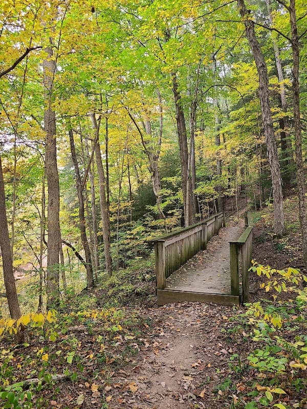 Calli Nature Preserve - Image 2