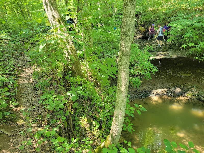 Calli Nature Preserve - Image 3