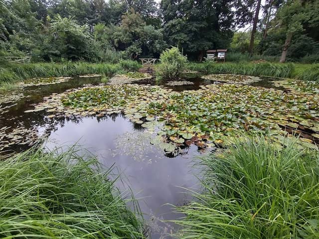Biotop - Image 1
