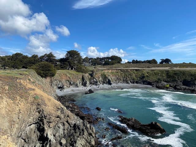 Cypress Grove - Image 1