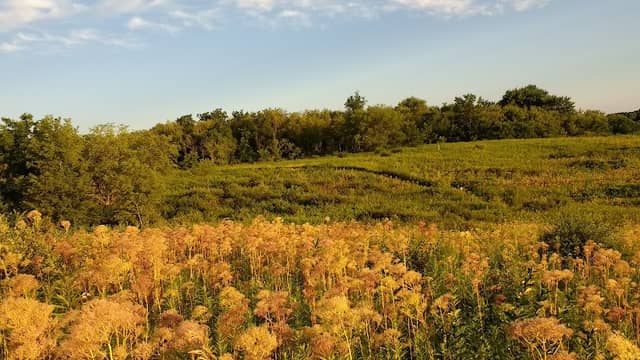 Linn Nature Park - Image 2