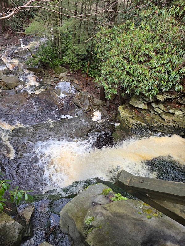 Elakala Falls - Image 3