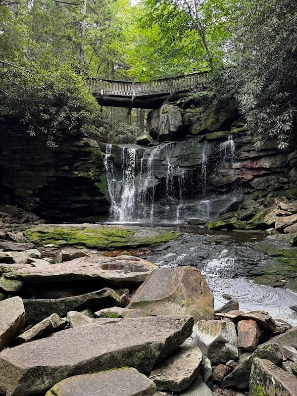 Elakala Falls - Image 2