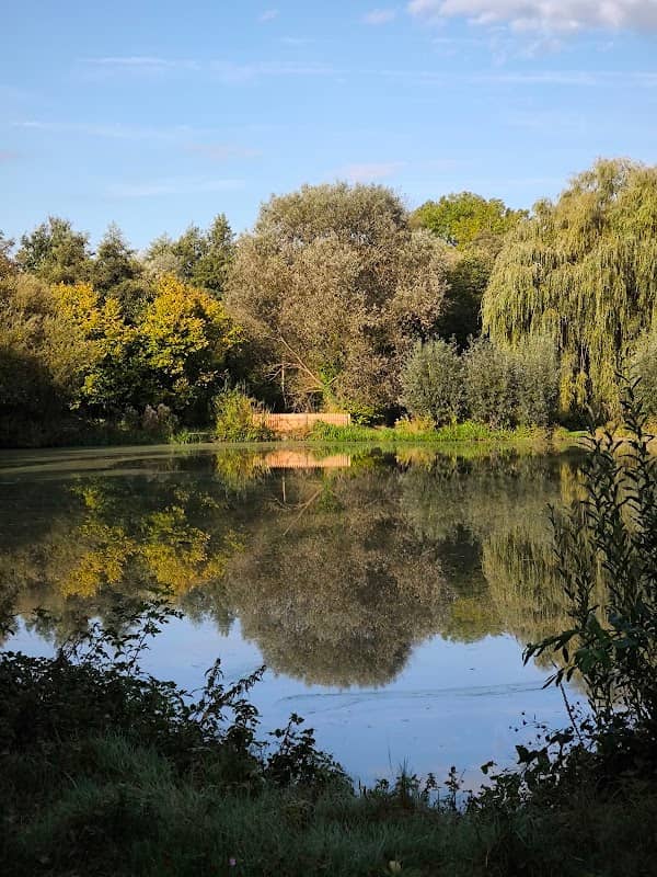 Dorfmark, Bürger Park - Image 1