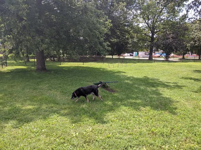 Dog Park - Image 1