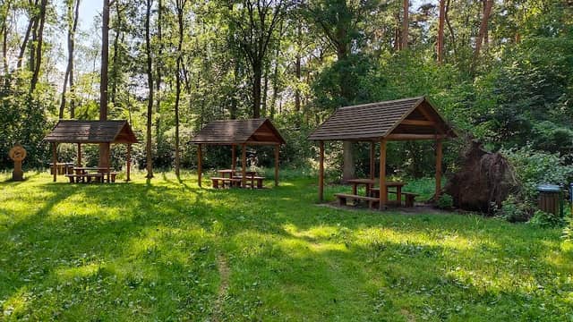 Leśna wiata - Image 2