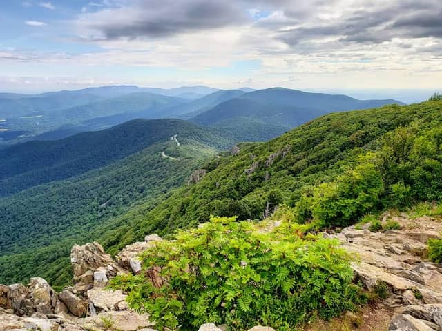 Stony Man Mountain Summit Lookout - Image 1