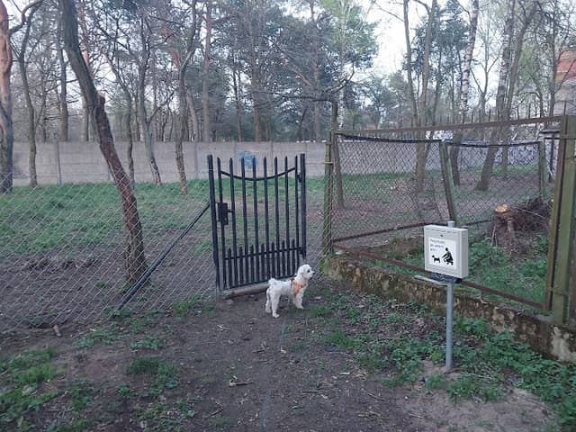 Wybieg dla psów UM Zielonka - Image 1