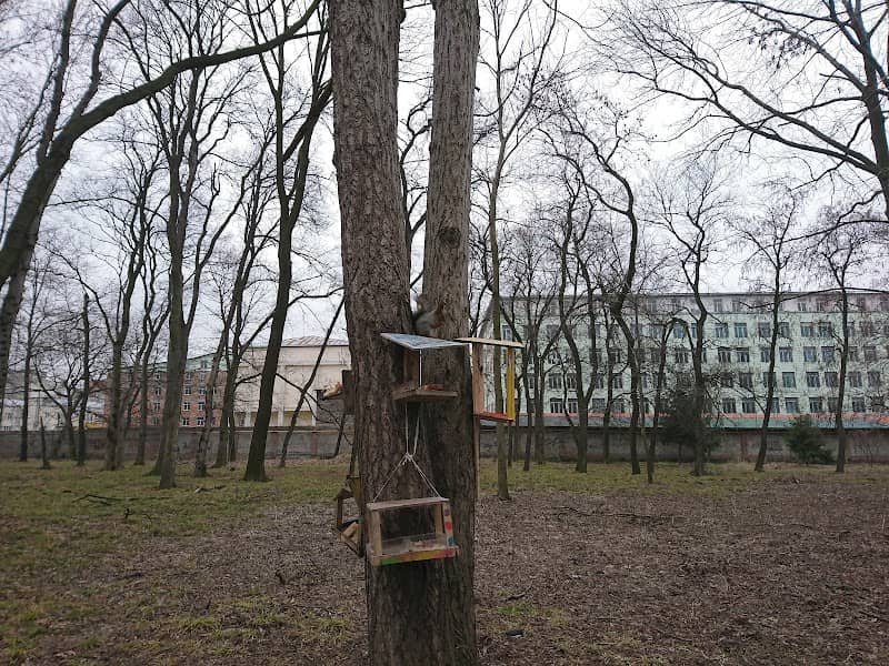 Komsomol park - Image 1