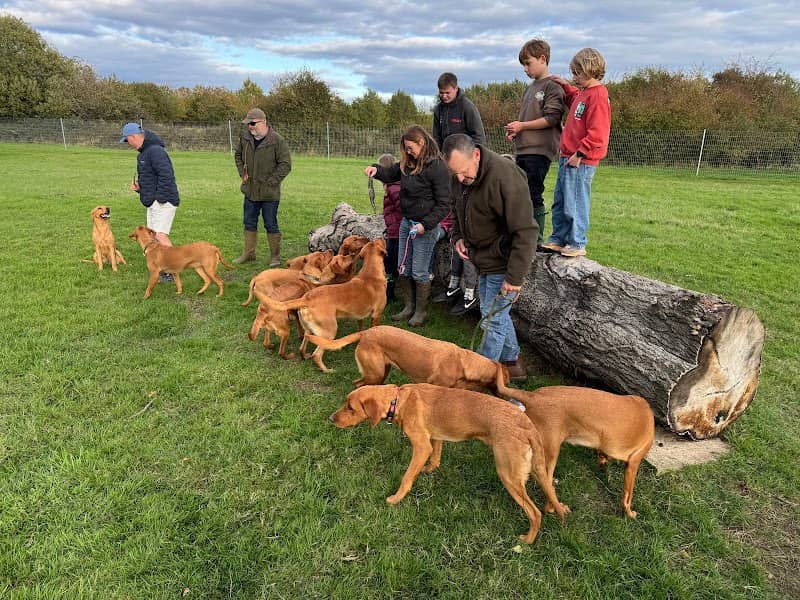 Hethel Dog Field - Image 2